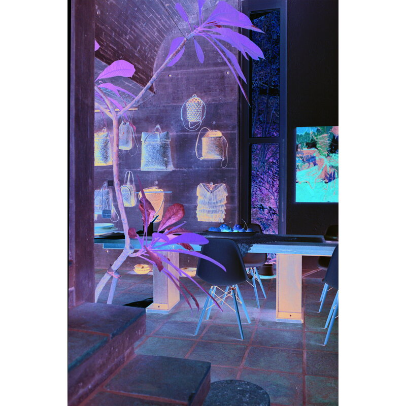 Vitra Eames DSW chair, light grey - maple | One52 Furniture