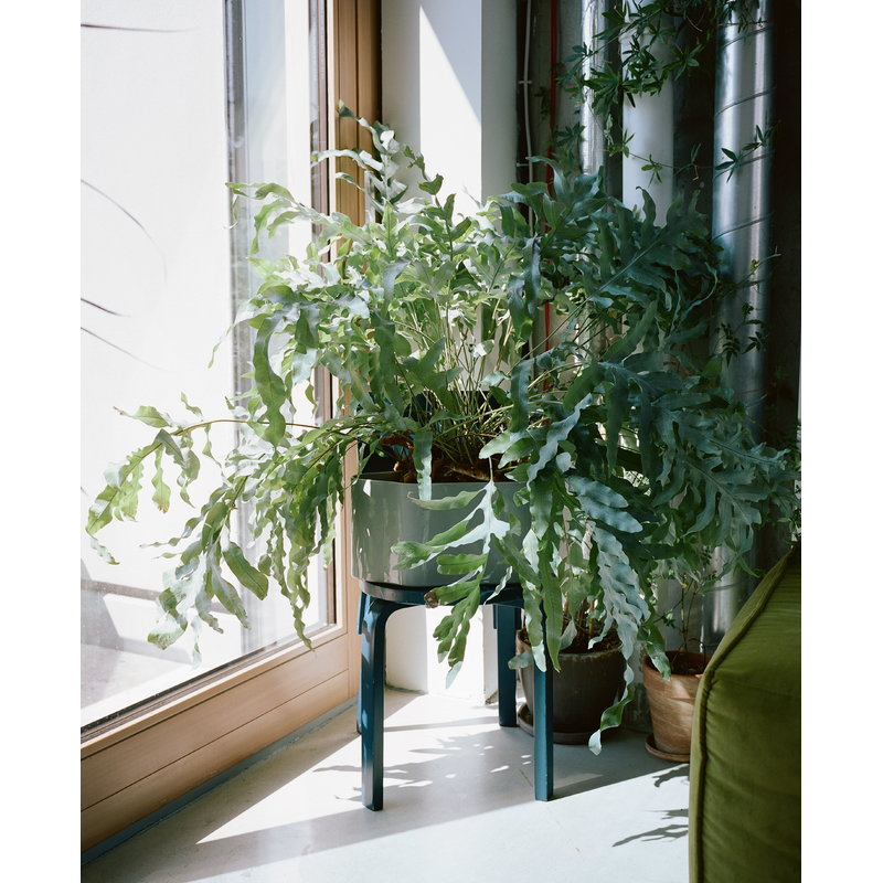 Artek|Indoor gardening, Planters & plant pots|Riihitie plant pot A, large, light grey
