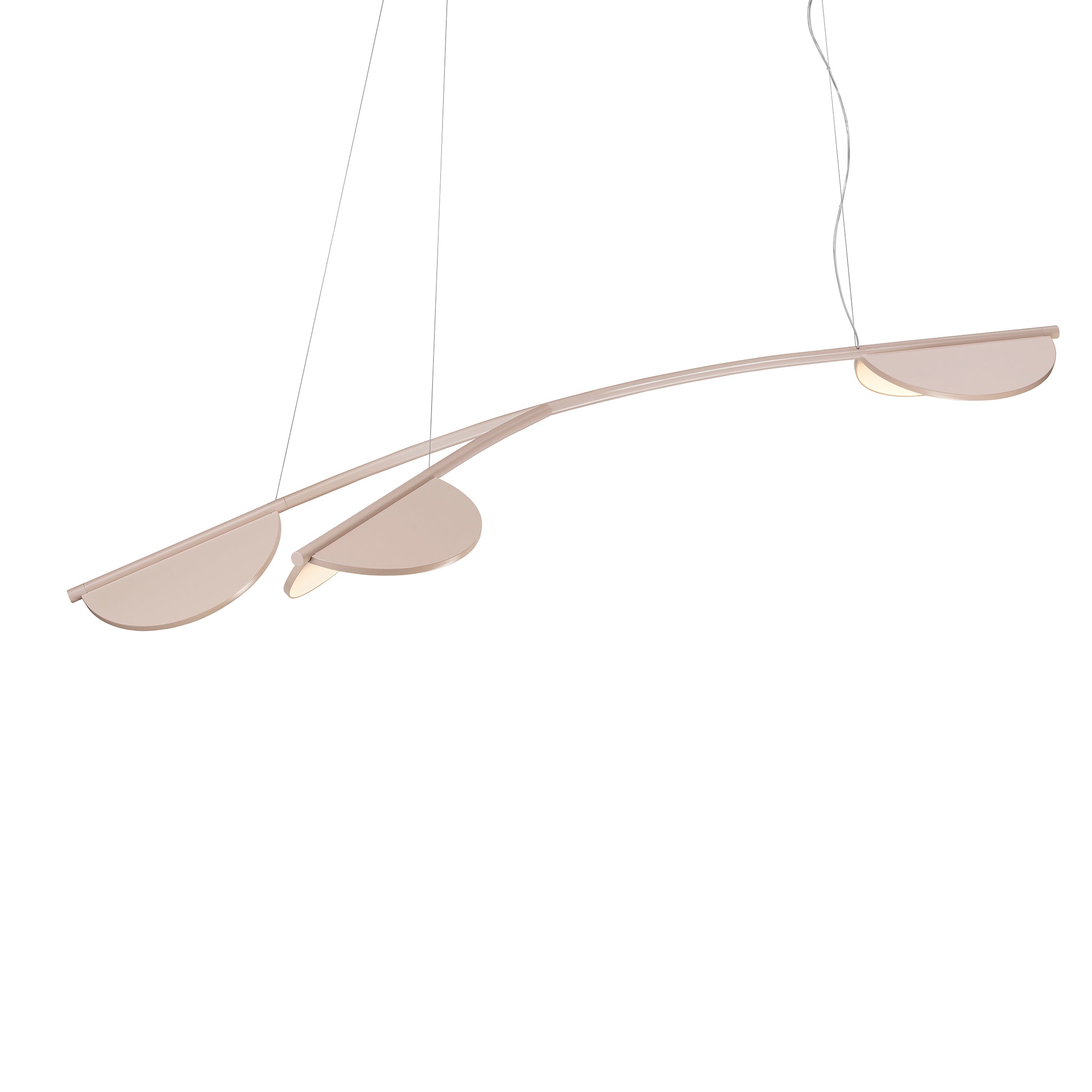 Almendra Organic Long 3